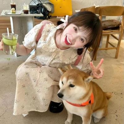 伊迪与潘